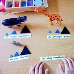 John Wyatt Montessori International School