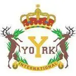 York Montessori International - Tseung Kwan O