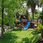 Montessori Play and Learn